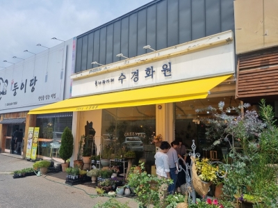 영주 수경화원